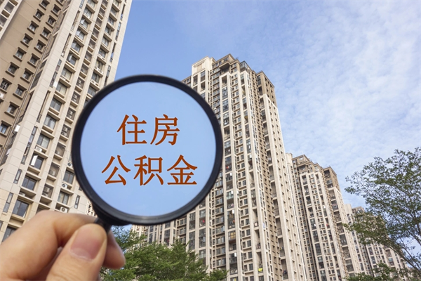 沧县上海公积金代办中介（沧县上海公积金代理提取可信吗）